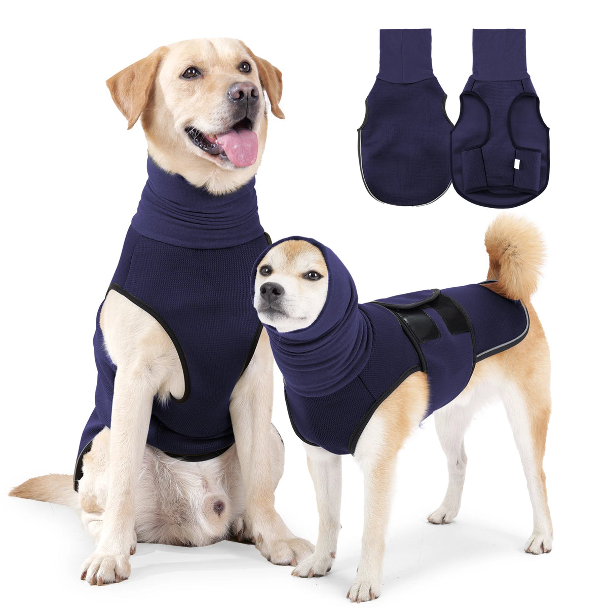 Dog wearing a snug wrap vest with neck warmer