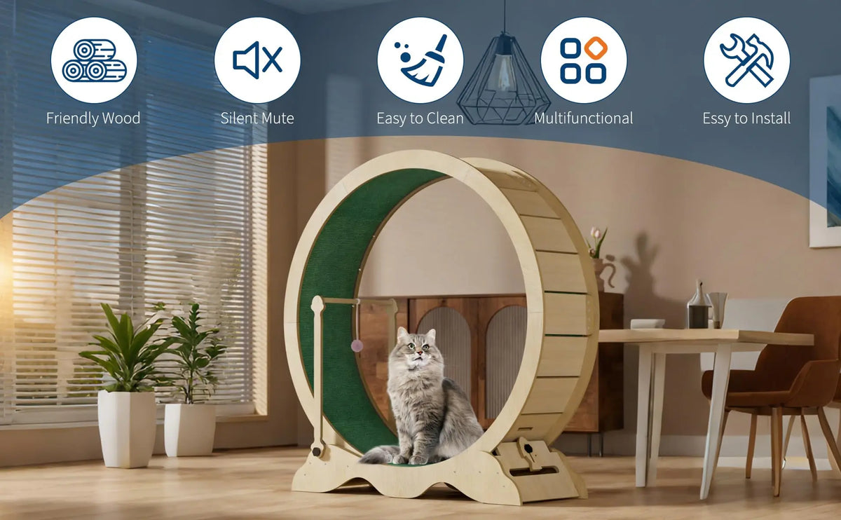 114cm Cat Exercise Wheel with Carpet Track & Lock