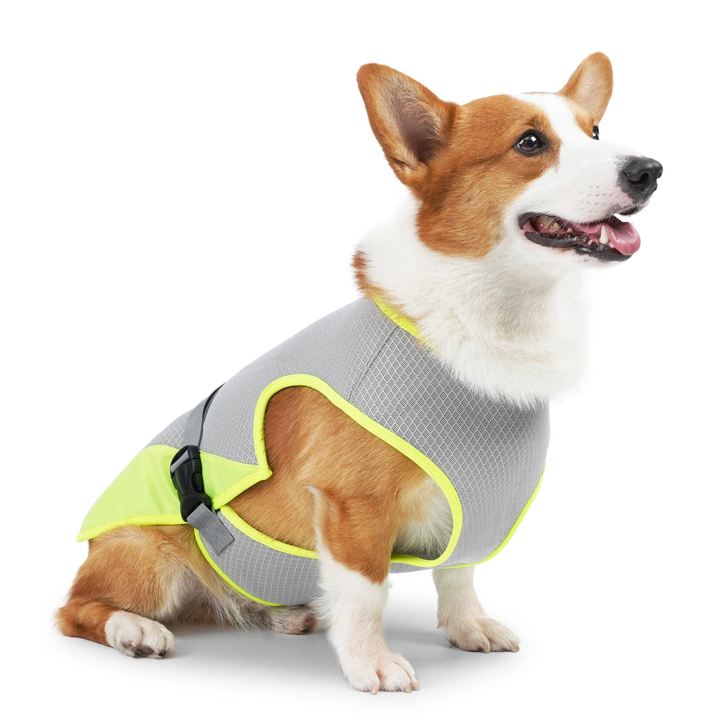 Dog wearing a lightweight breathable cooling vest with reflective strips – photo 9