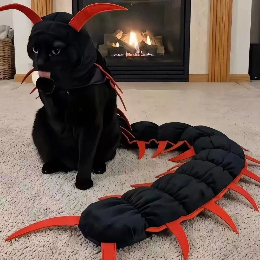 Cat wearing a wiggly centipede costume – photo 4