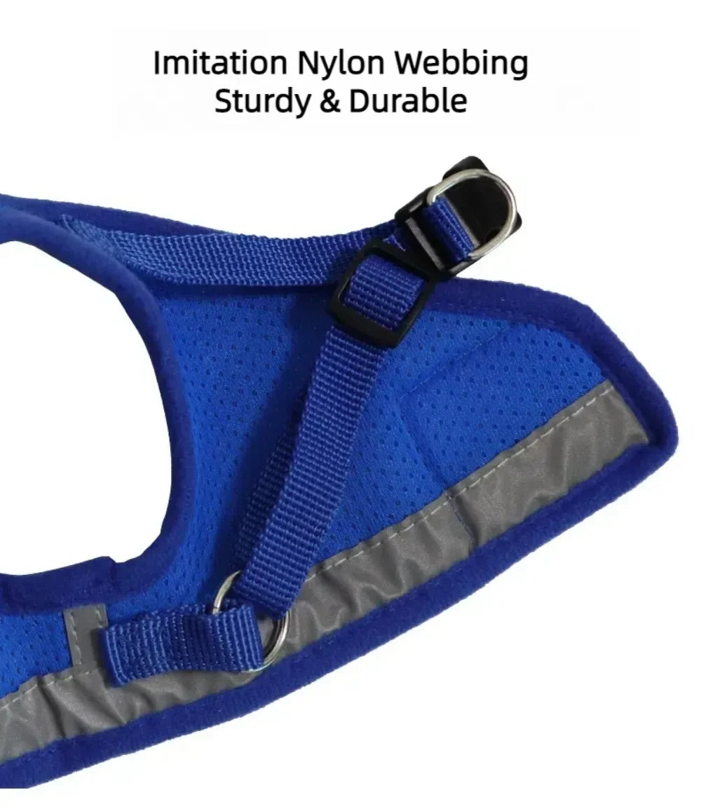 Reflective Mesh Harness & Lead Set for Cats