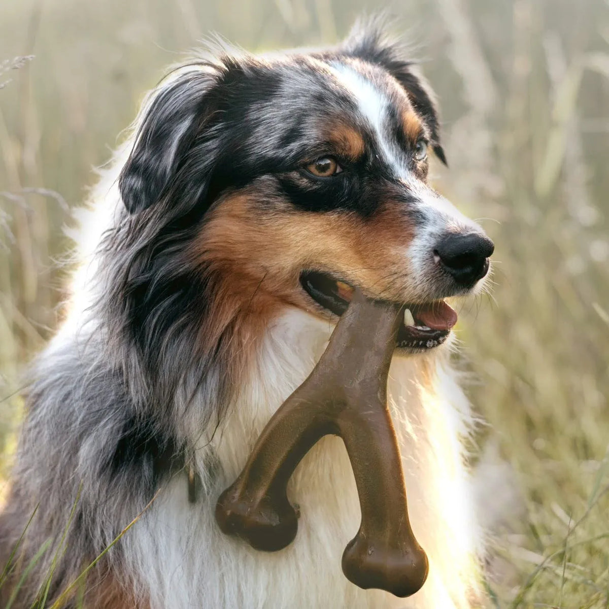 Brown bone-shaped chew toy for medium and large dogs – photo 3