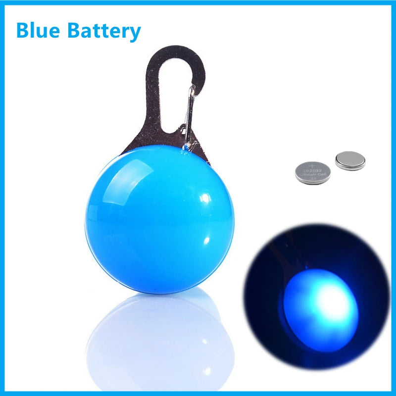 LED Light-Up Dog Collar, USB or Battery Powered
