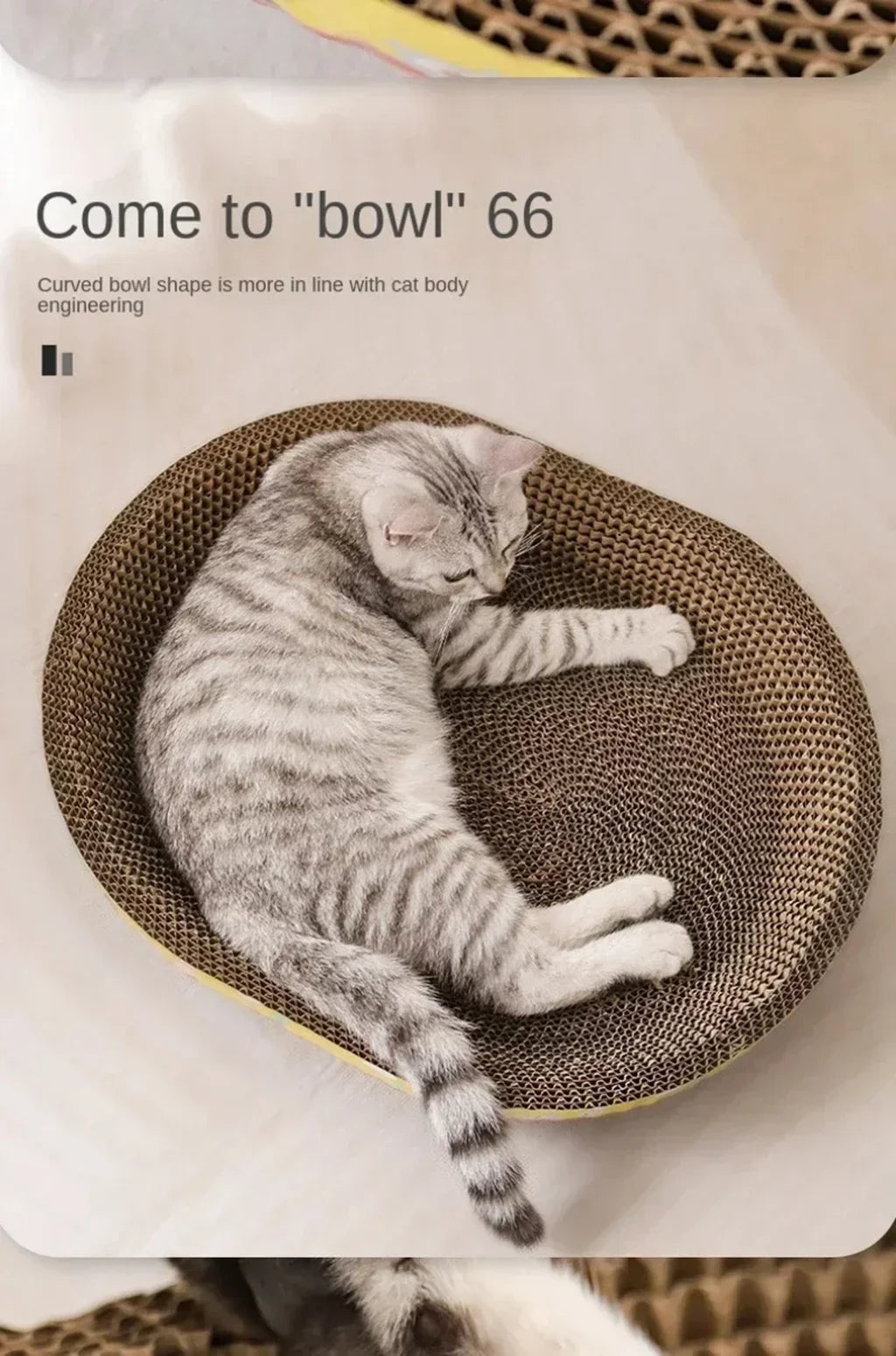 Cat on an oval corrugated cardboard scratcher – photo 11