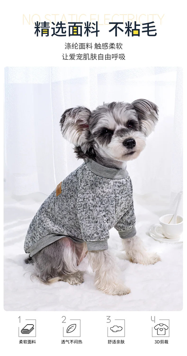 Small dog wearing a soft knitted round neck jumper – photo 5