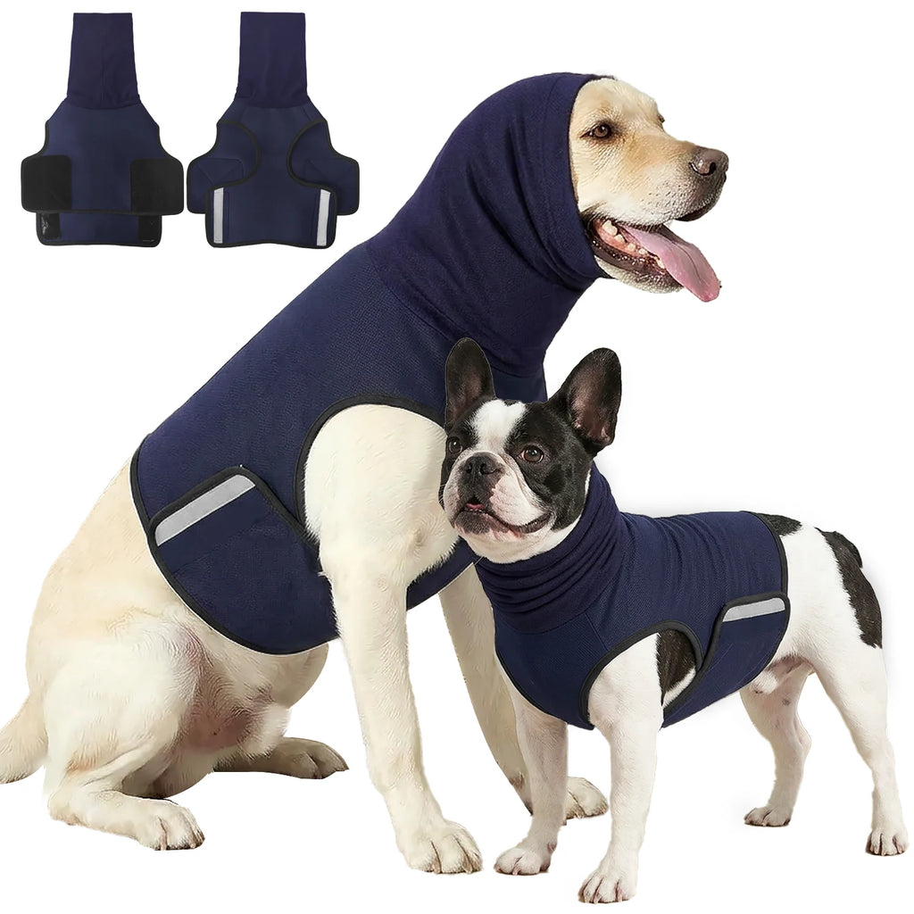 Two dogs wearing navy calming vests, one with the hood up