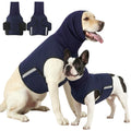 Two dogs wearing navy calming vests, one with the hood up