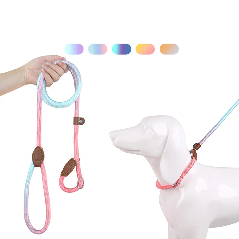 Braided two-tone nylon slip lead for dogs