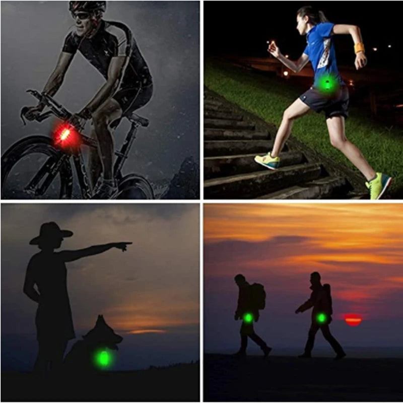 LED Light-Up Dog Collar, USB or Battery Powered