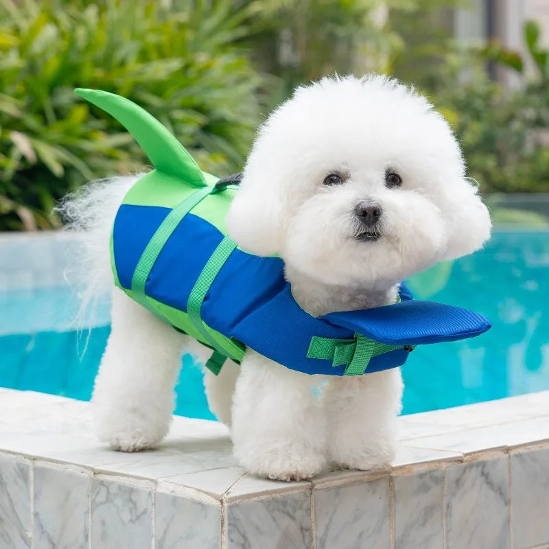 Dog wearing a bright adjustable life jacket for swimming – photo 7