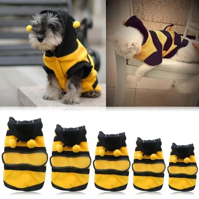 Dog wearing a yellow fleece bumblebee hoodie costume