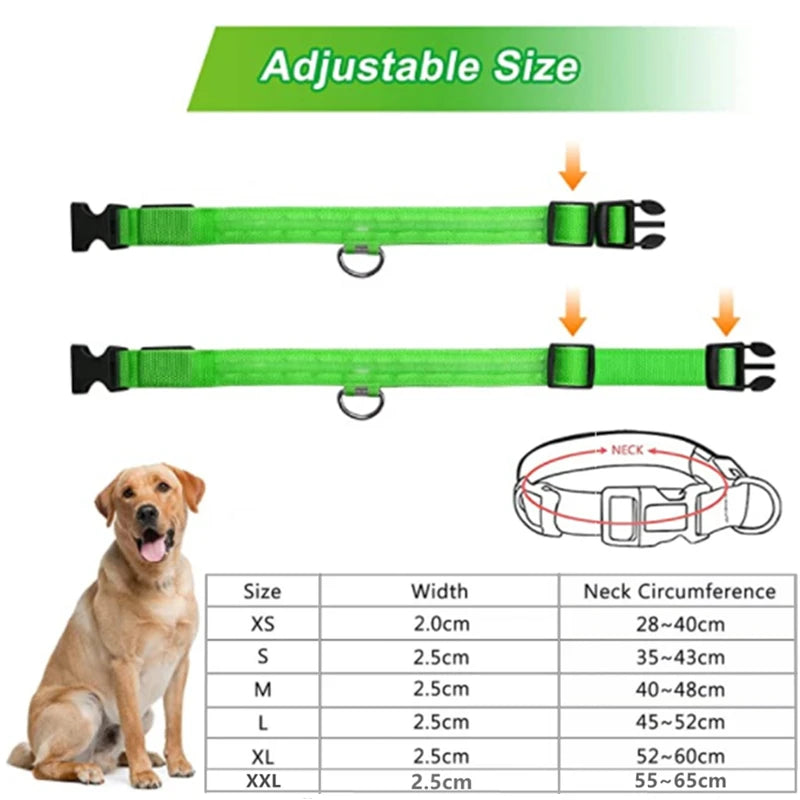 LED Light-Up Dog Collar, USB or Battery Powered