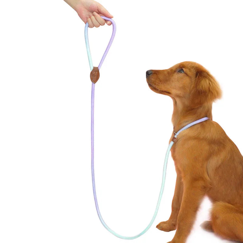 Braided two-tone nylon slip lead for dogs – photo 2