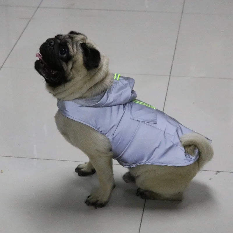 Dog wearing a reflective hooded raincoat on a rainy walk – photo 11