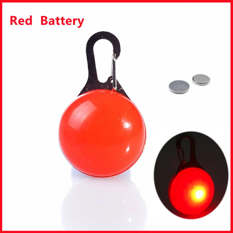 LED Light-Up Dog Collar, USB or Battery Powered