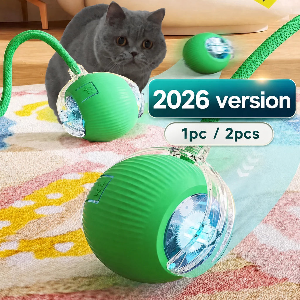Cat chasing an automatic rolling ball toy with a tail