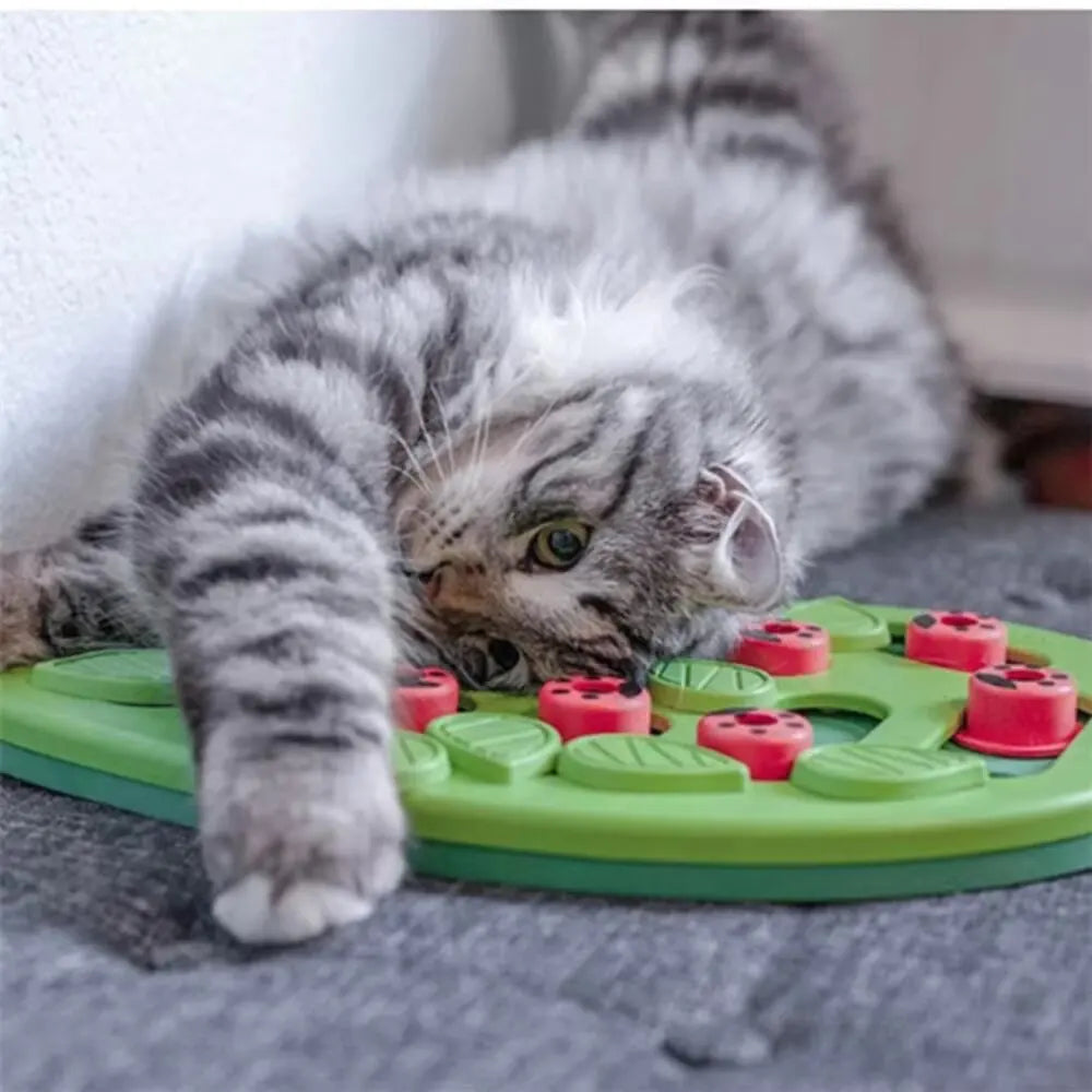 Tabby cat playing with a cat treat puzzle board