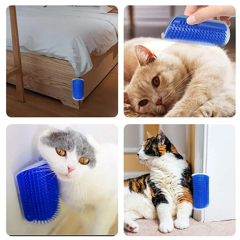 Cat rubbing against a corner self-grooming brush – photo 3