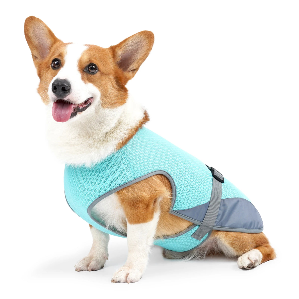 Dog wearing a lightweight breathable cooling vest with reflective strips