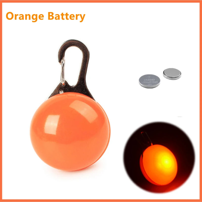 LED Light-Up Dog Collar, USB or Battery Powered