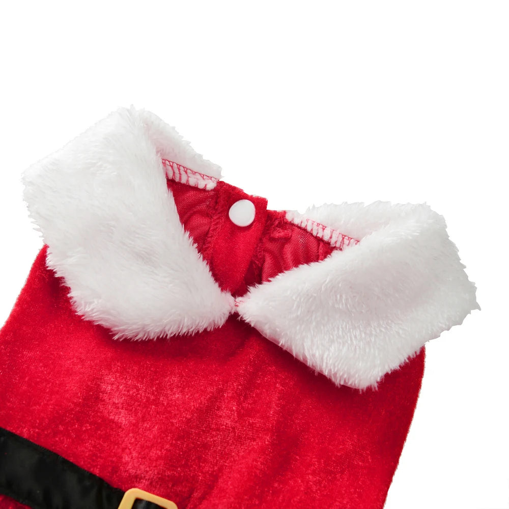 Cat wearing a red Santa Christmas dress – photo 4