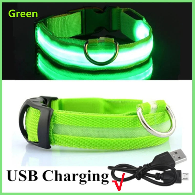 LED Light-Up Dog Collar, USB or Battery Powered