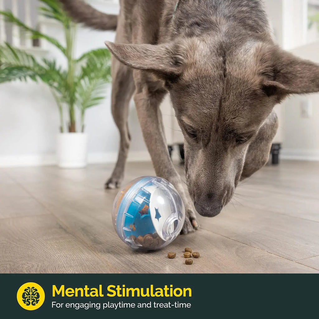 Dog playing with a treat dispenser ball