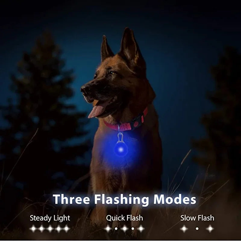 LED light clipped to a dog collar – photo 3