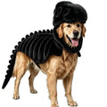 Dog wearing a dinosaur skeleton hoodie costume