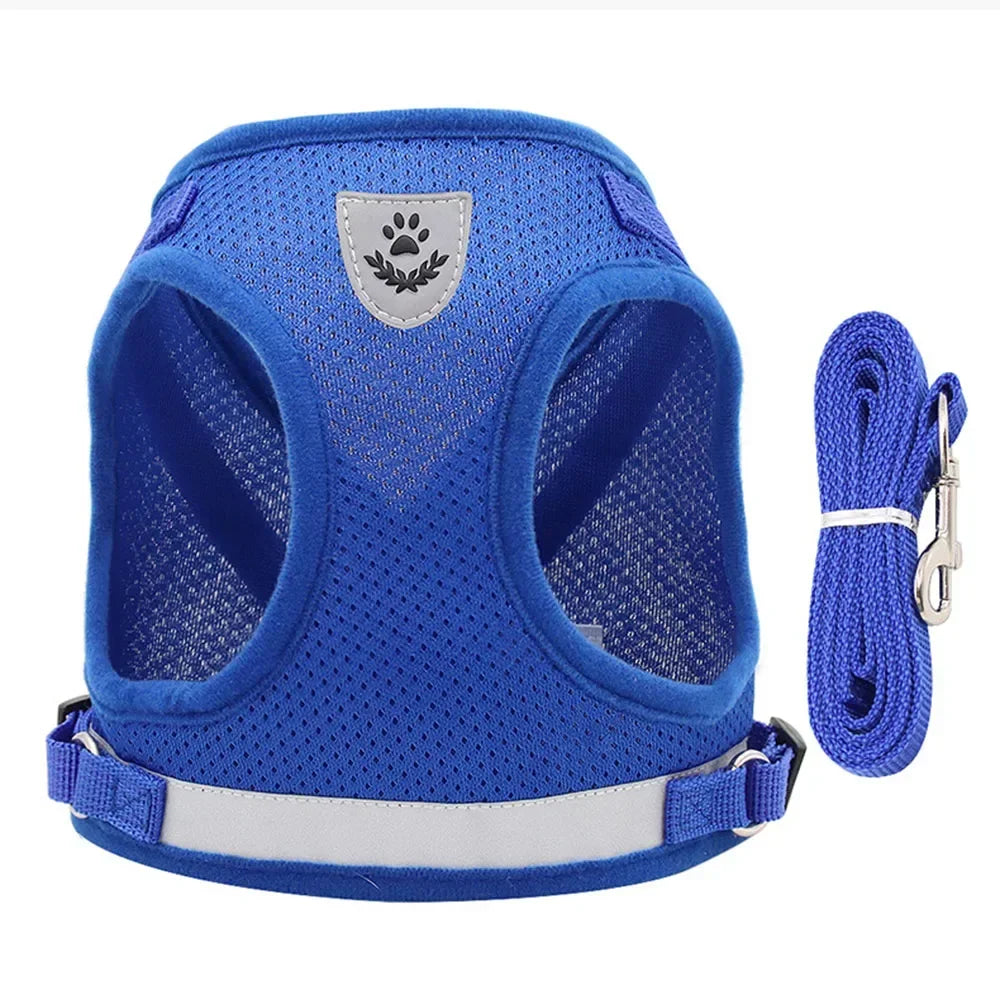 Reflective Mesh Harness & Lead Set for Cats