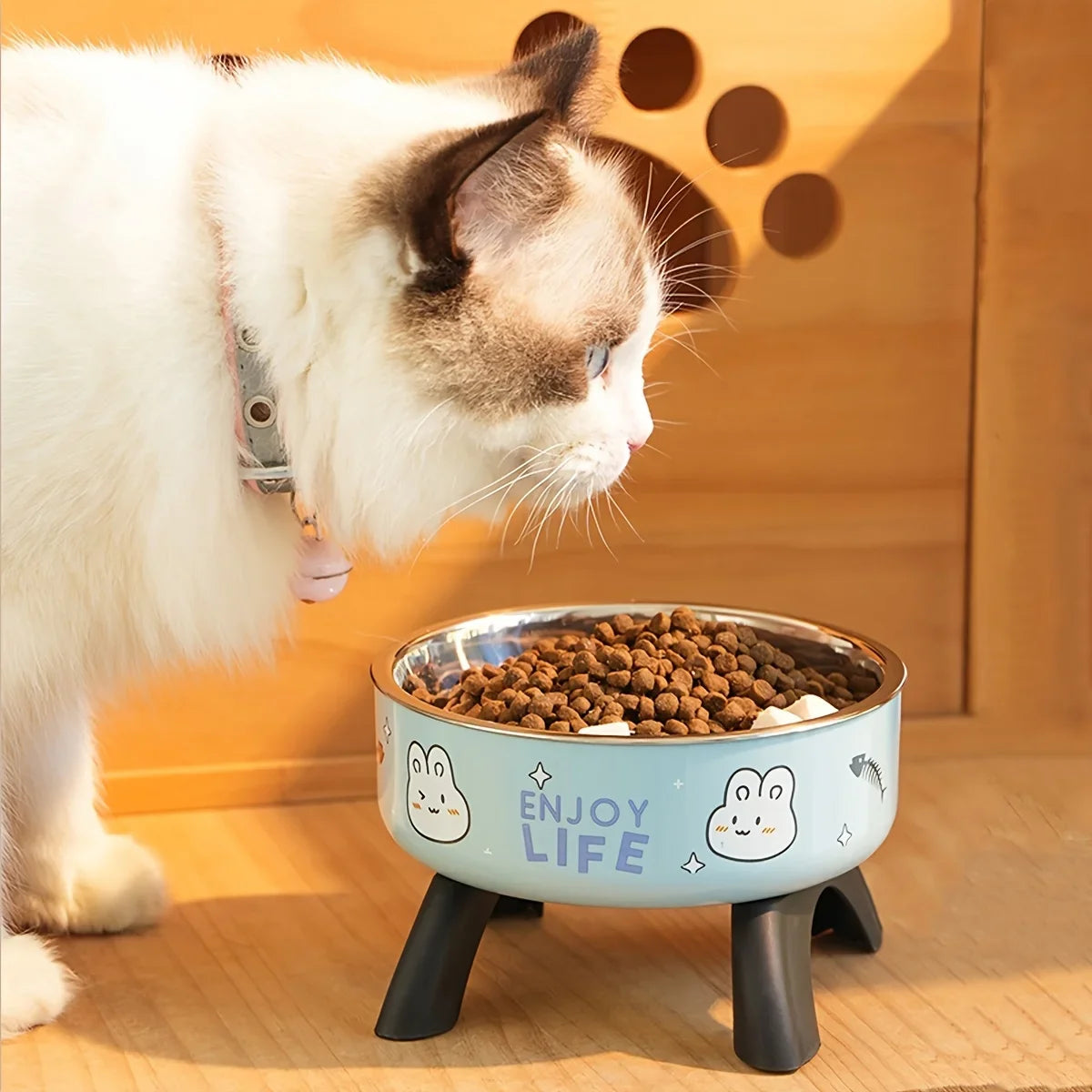Raised stainless steel pet bowl with non-slip base – photo 10