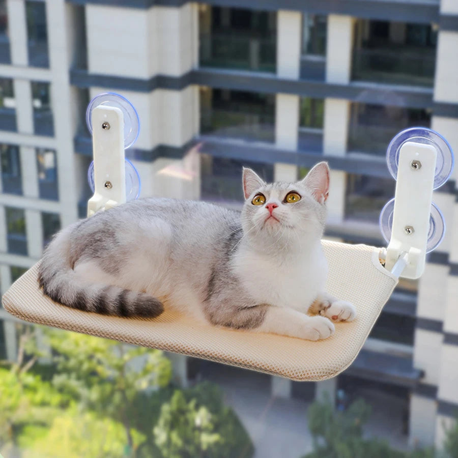 Foldable cat window hammock with suction cups