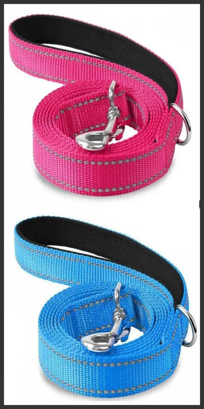 Reflective Lead for Dogs & Cats