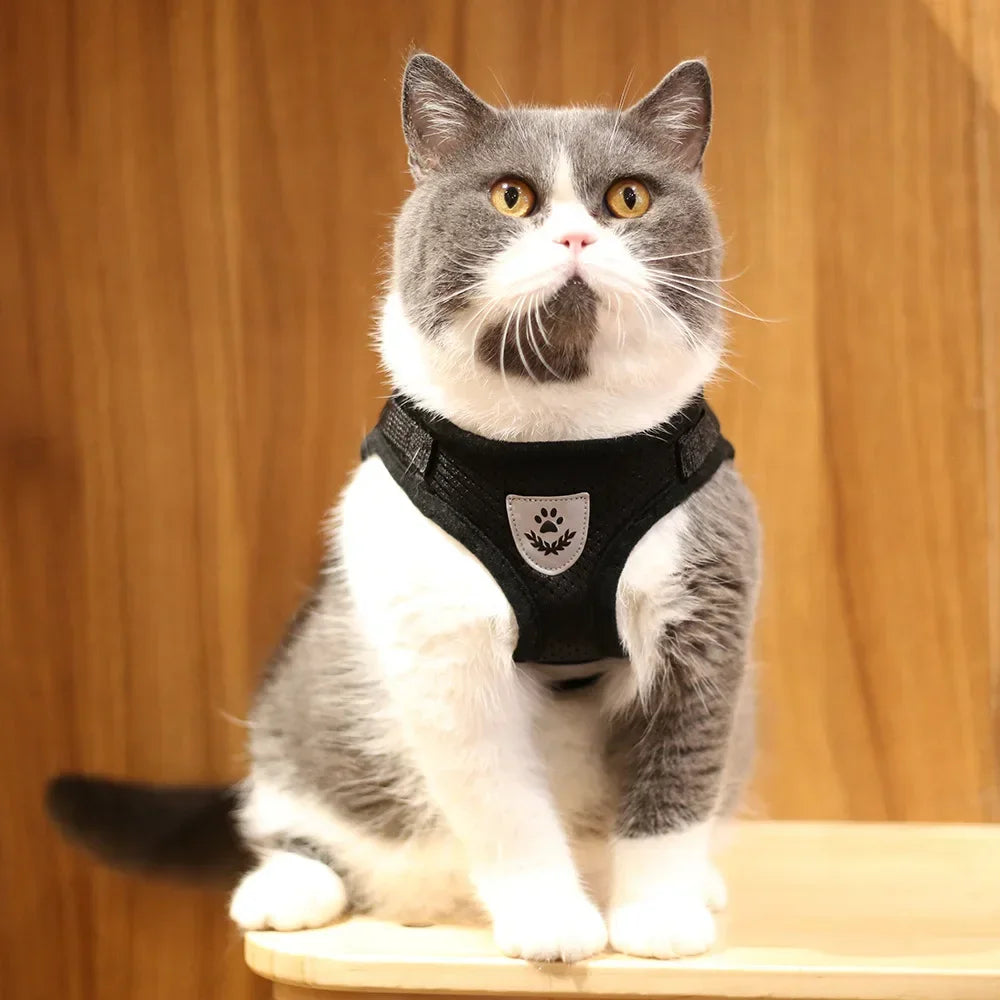 Reflective Mesh Harness & Lead Set for Cats