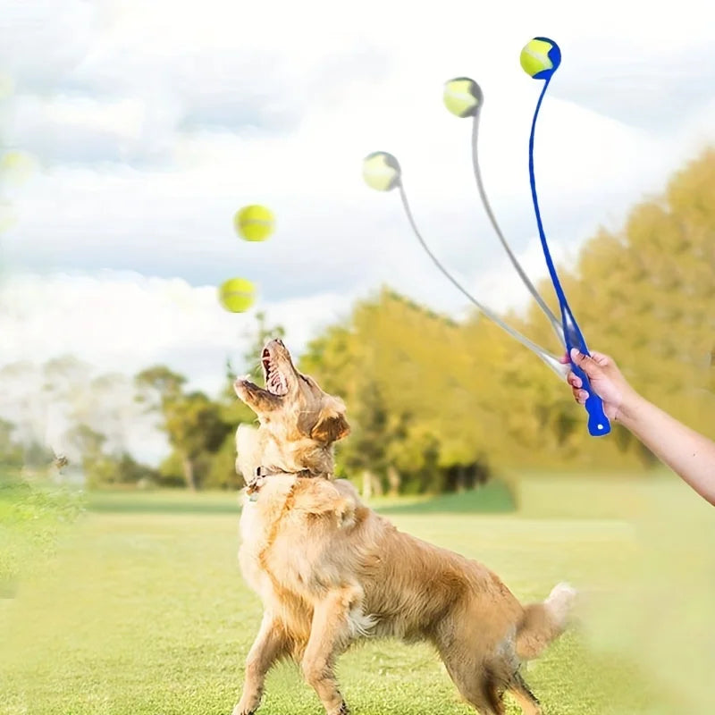 Dog ball launcher stick with a tennis ball in the park