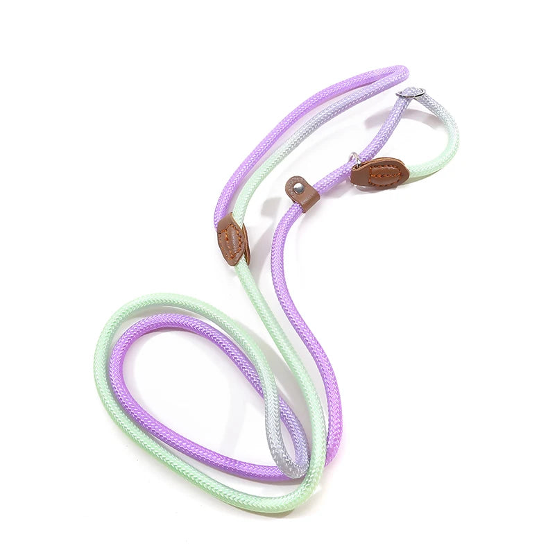 Braided Slip Lead for Dogs