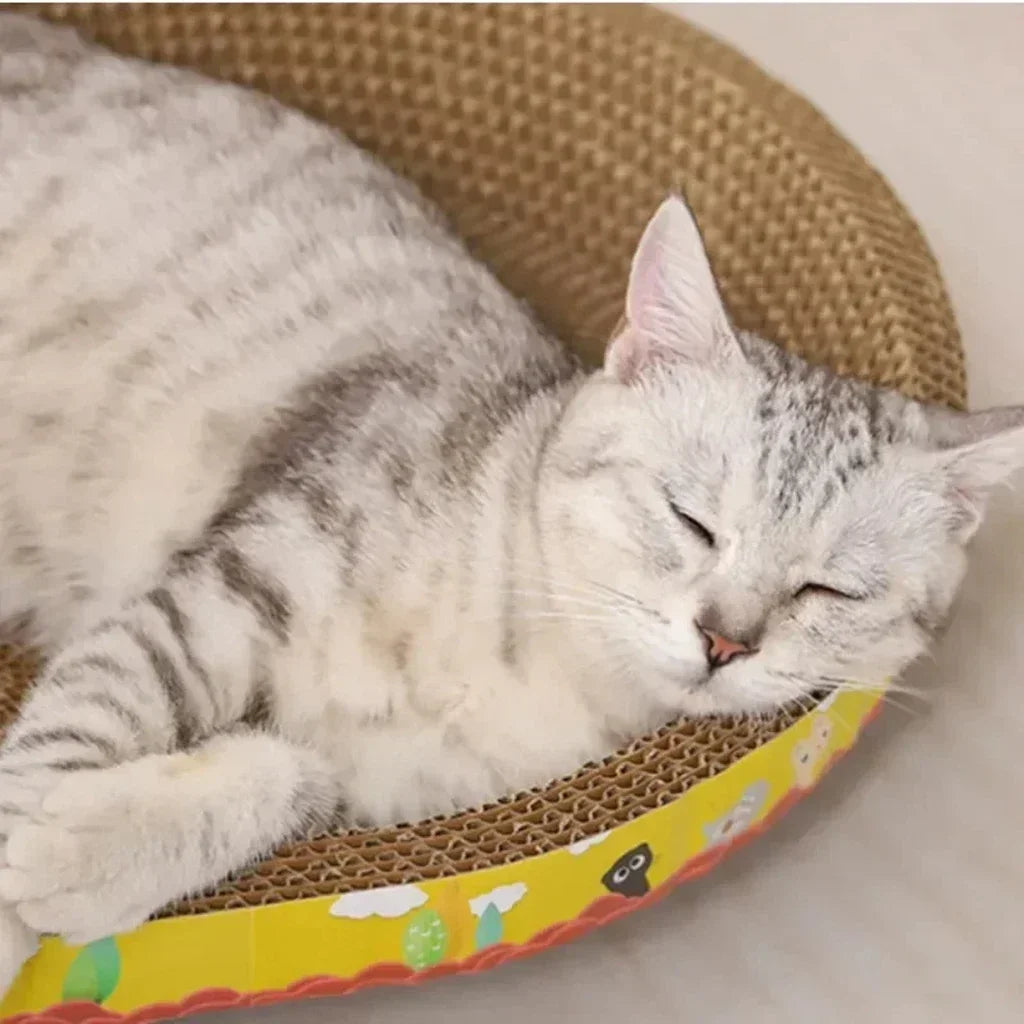 Cat on an oval corrugated cardboard scratcher – photo 3