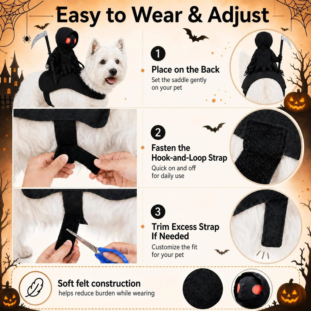 Pet wearing a reaper knight rider Halloween costume on a felt saddle – photo 11