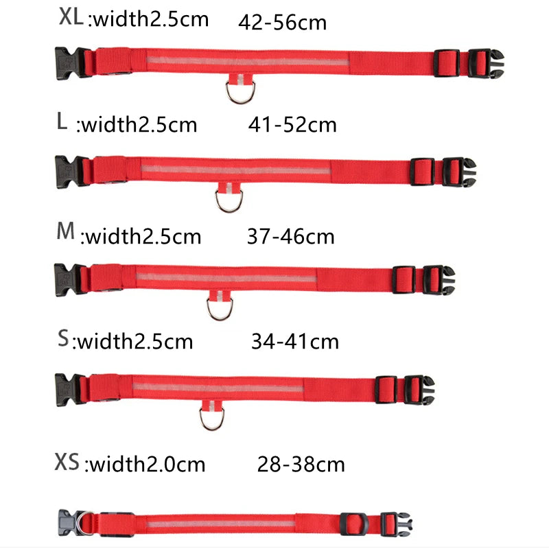 LED Light-Up Dog Collar, USB or Battery Powered