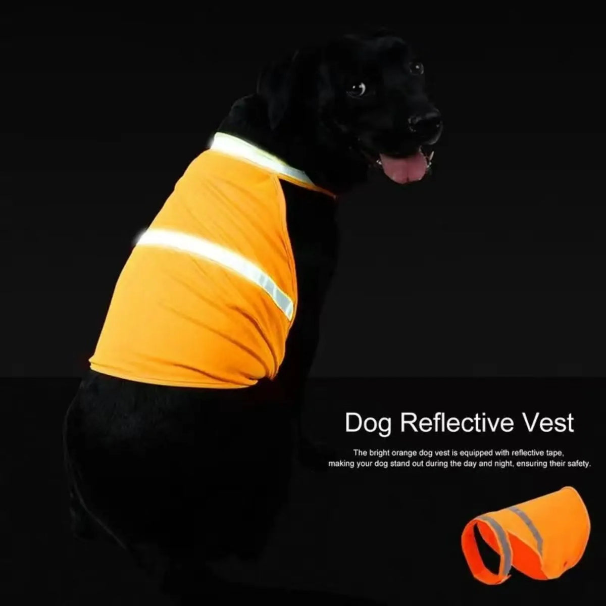 Dog wearing a reflective high-visibility vest – photo 7