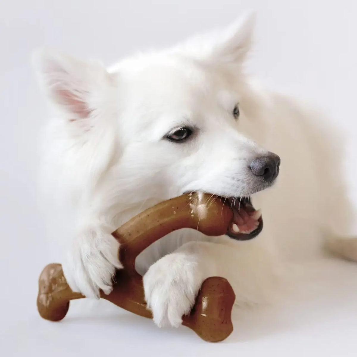 Brown bone-shaped chew toy for medium and large dogs – photo 8