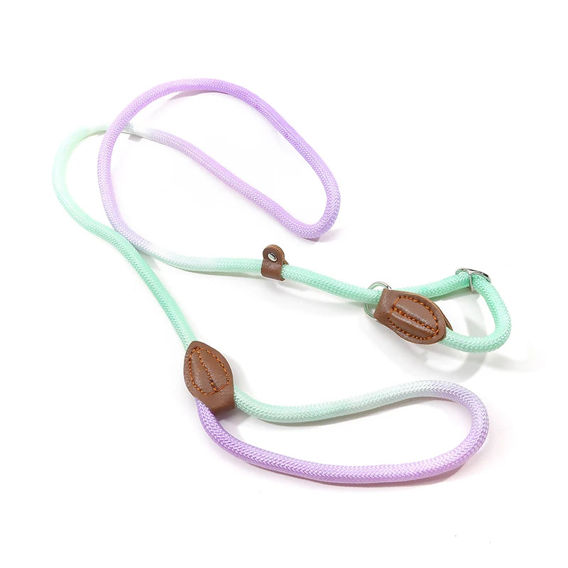 Braided Slip Lead for Dogs