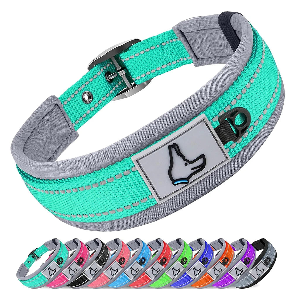 Padded reflective nylon dog collar with metal buckle