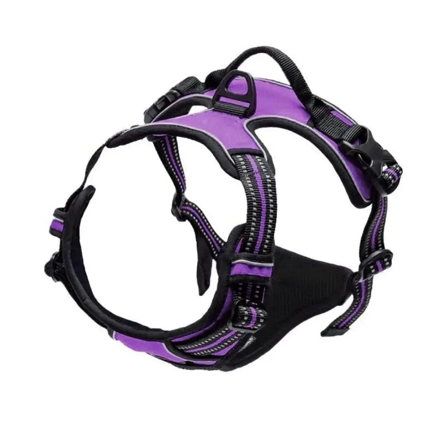 Vest Dog Harness in Bright Colours