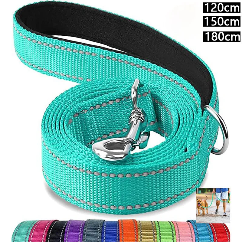 Reflective polyester lead for dogs and cats