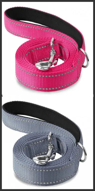 Reflective Lead for Dogs & Cats