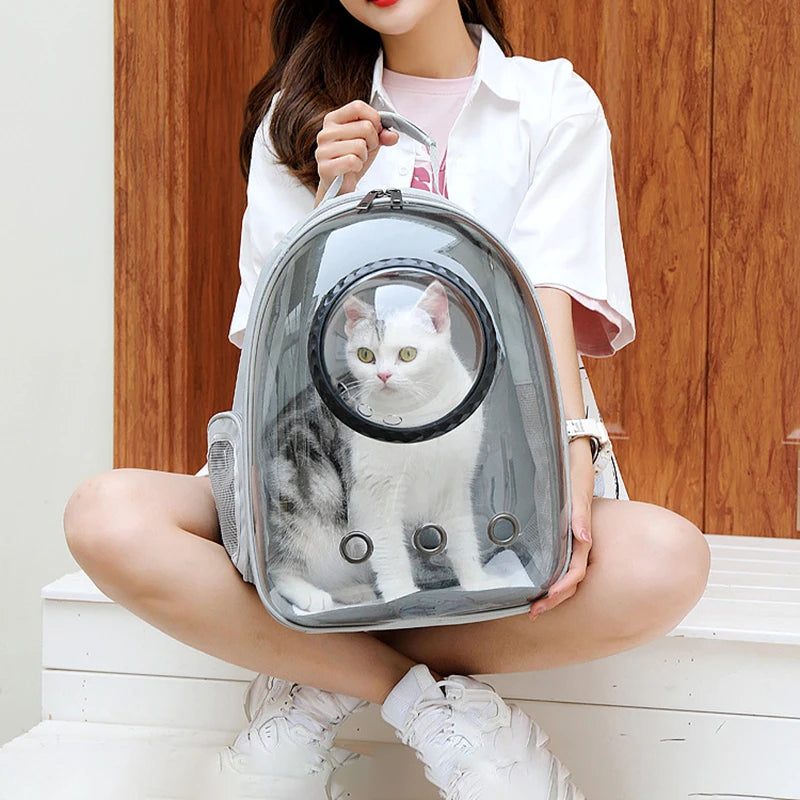 Cat looking out of a grey bubble carrier backpack