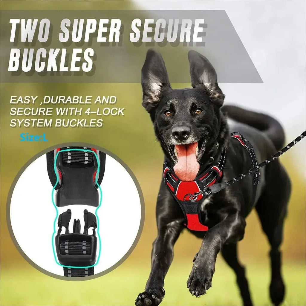 Colourful vest dog harness – photo 10