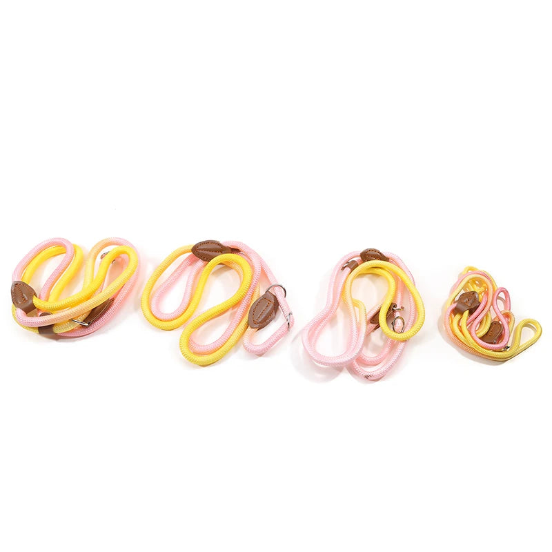 Braided Slip Lead for Dogs