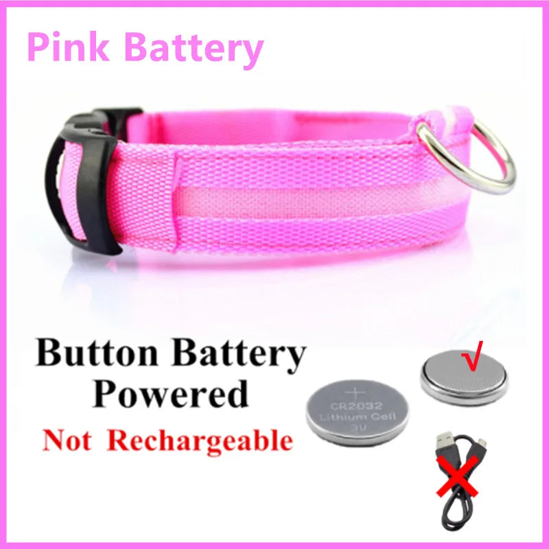 LED Light-Up Dog Collar, USB or Battery Powered